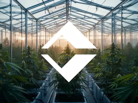 Moderne Gewächshausanlage für Cannabisproduktion in atmosphärischem Licht - Foto: über boerse-global.de