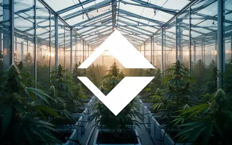 Moderne Gewächshausanlage für Cannabisproduktion in atmosphärischem Licht - Foto: über boerse-global.de