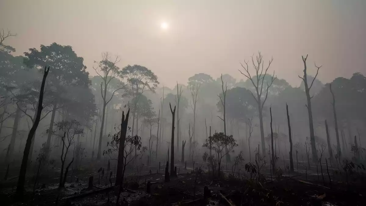 Indonesien: Waldbrände belasten 3,4 Millionen Menschen
