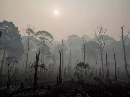 Dichter, grauer Waldbrandrauch hängt über einer von Waldbränden betroffenen indonesischen Landschaft. - Foto: über boerse-global.de
