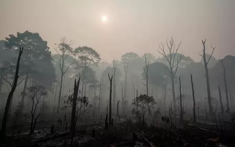 Dichter, grauer Waldbrandrauch hängt über einer von Waldbränden betroffenen indonesischen Landschaft. - Foto: über boerse-global.de