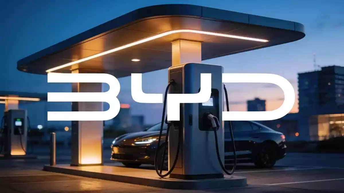 BYD H1 Results: Record Exports vs Domestic Slump