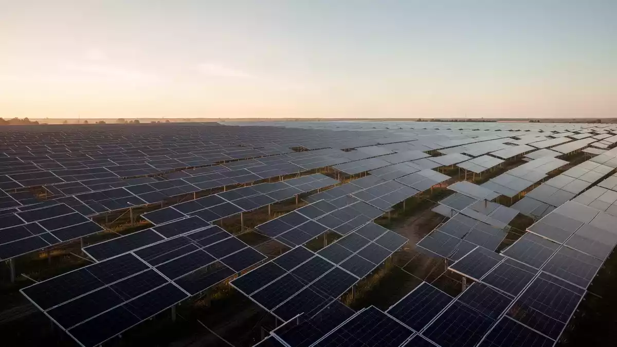 Solaraktien unter Druck: Zölle belasten, SolarEdge und First Solar profitieren