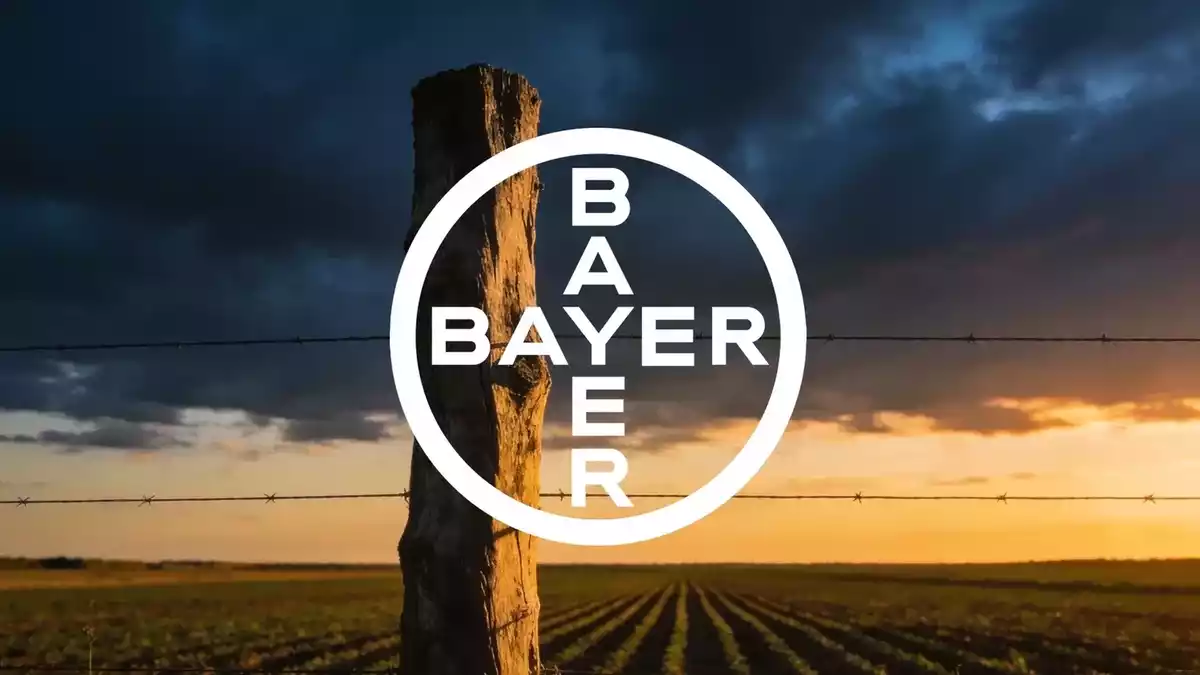 Bayer Faces Key Court Hearing and Q3 Results as Crop Science Drives Growth