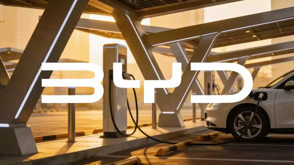 BYD Must Open 80 Charging Stations Daily to Meet 2026 Target