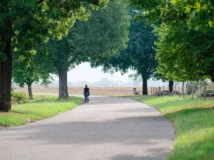 Neben Schauern gibt es am Wochenende auch lÀngere sonnige Abschnitte. - Foto: Uwe Anspach/dpa