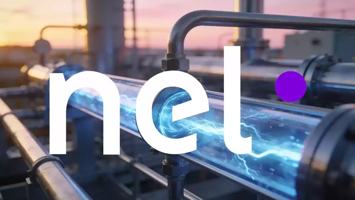Nel ASA Sets Q3 2026 and FY2026 Report Dates Amid CEO Exit and Stock Slump