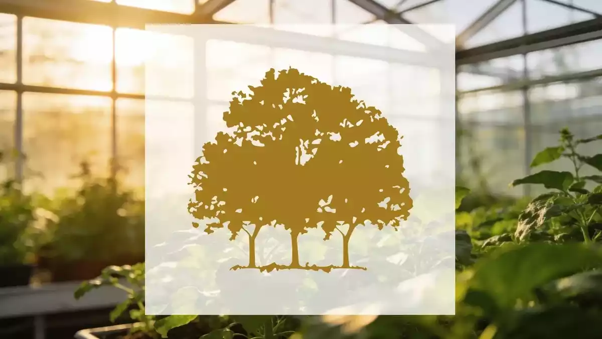 Canopy Growth Q1 Revenue Misses, Debt and MTL Integration Test Turnaround