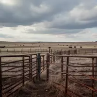 Weite, leere Weideflächen einer Rinderfarm unter einem bewölkten Himmel in den USA. - Foto: über boerse-global.de