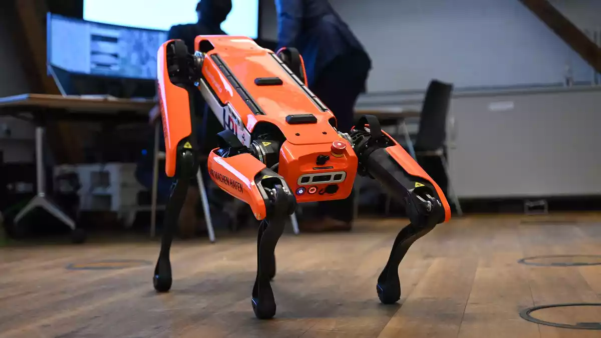 Ähnliche Roboter kamen auch am Hamburger Hafen zum Einsatz. (Archivbild) - Bild: Katrin Luxenburger/dpa