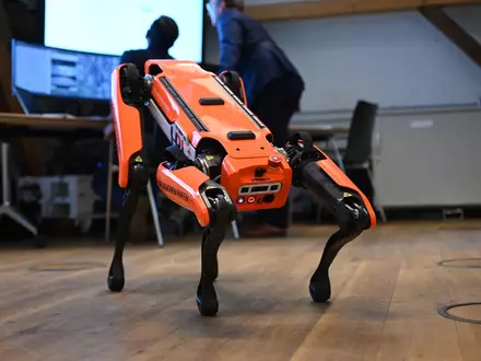 Ähnliche Roboter kamen auch am Hamburger Hafen zum Einsatz. (Archivbild) - Foto: Katrin Luxenburger/dpa