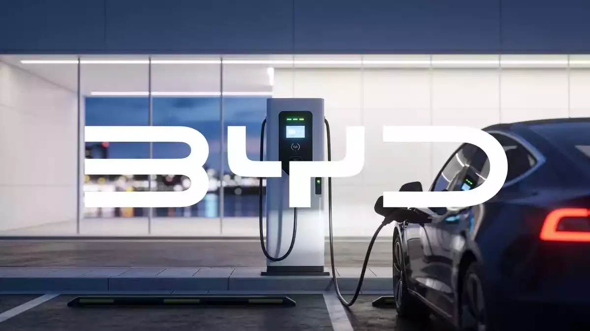 BYD's Model Blitz Fails to Move Shares as Margins Squeeze