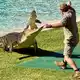Heute führen Ranger die berühmte Krokodilshow im Australia Zoo vor - und geben Tipps zum Umgang mit den Reptilien. - Bild: Carola Frentzen/dpa