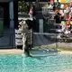 Die Show im «Crocoseum» ist spektakulär. - Bild: Carola Frentzen/dpa