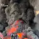 Kiew und das Umland kommt wegen ständiger Luftangriffen seit Tagen nicht zur Ruhe. - Bild: Ukrainian Emergency Service/via Ap/dpa