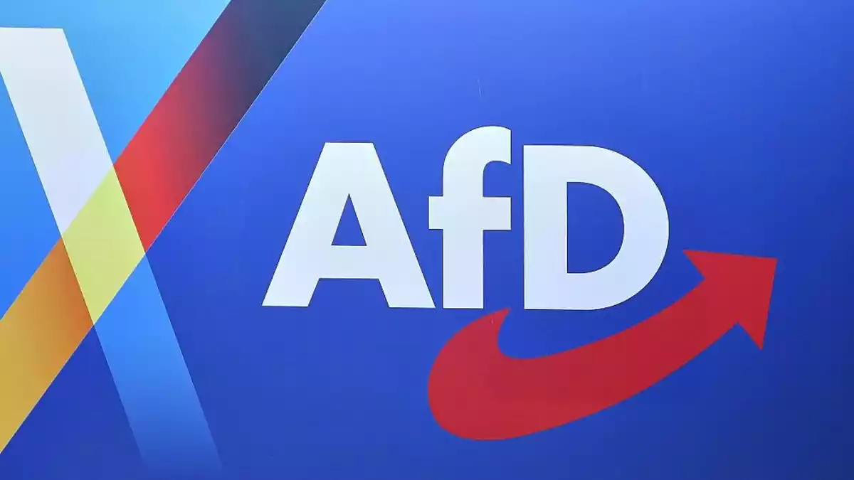 Umfrage: Jeder Fünfte würde bei AfD-Regierung auswandern
