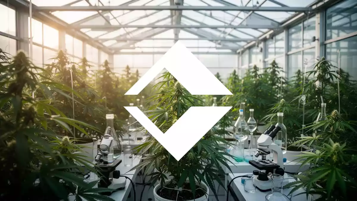 Trulieve-Aktie steigt nach DEA-Dokumenten zur Cannabis-Neueinstufung
