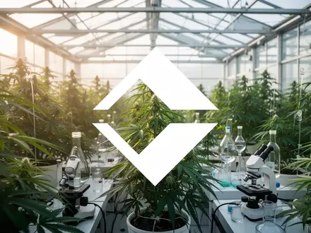 Moderne Gewächshausanlage mit grünen Cannabispflanzen in einer professionellen, hellen und ästhetischen Umgebung. - Foto: über boerse-global.de