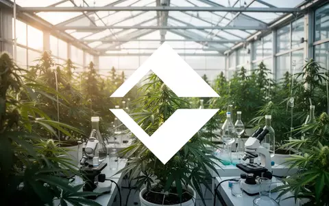 Moderne Gewächshausanlage mit grünen Cannabispflanzen in einer professionellen, hellen und ästhetischen Umgebung. - Foto: über boerse-global.de