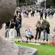 Die Norweger zieht es in diesen Tagen aus allen Richtungen zum Schlossplatz. - Bild: Julia Wäschenbach/dpa