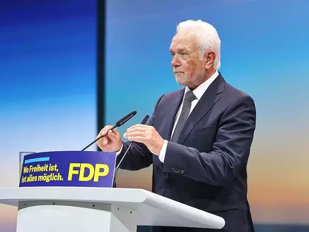 Wolfgang Kubicki (Archiv) - Foto: via dts Nachrichtenagentur