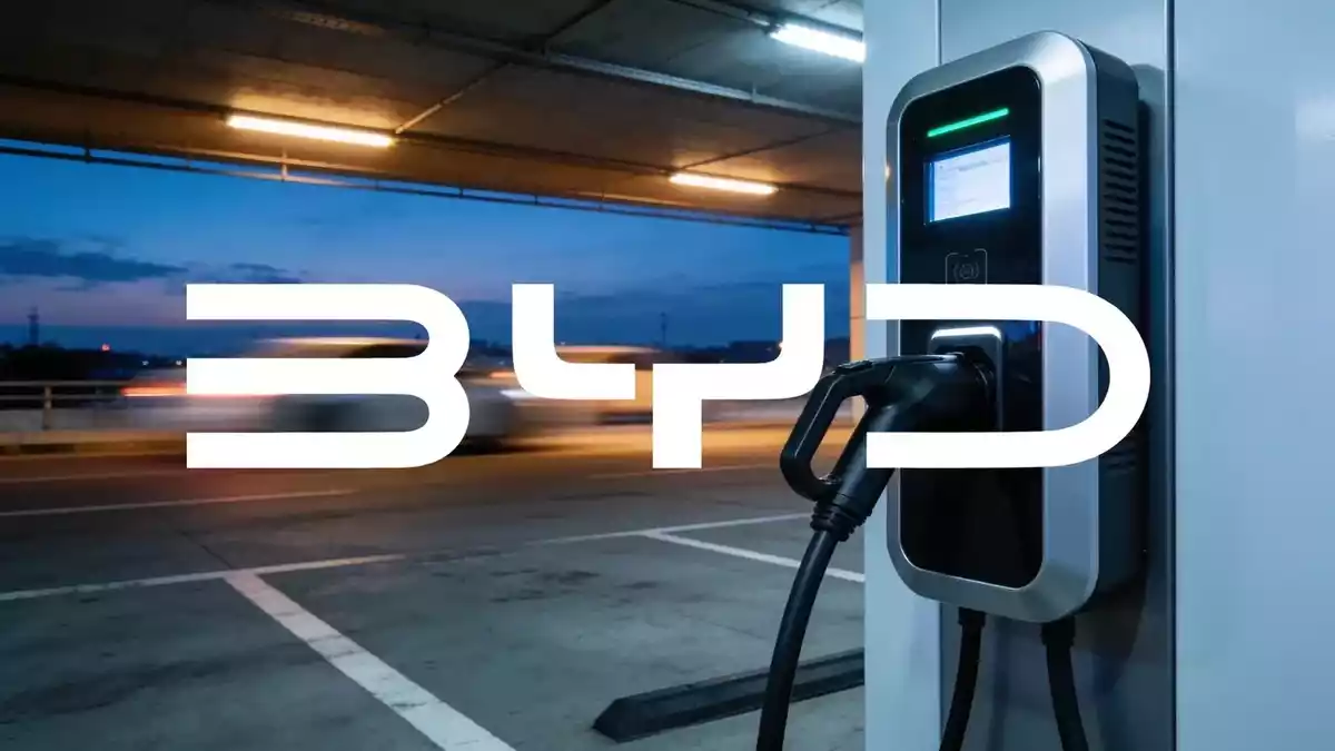 BYD's Half-Year Profit Drops 20.5% as Blade Battery Bottleneck and Robotics Pivot Take Center Stage