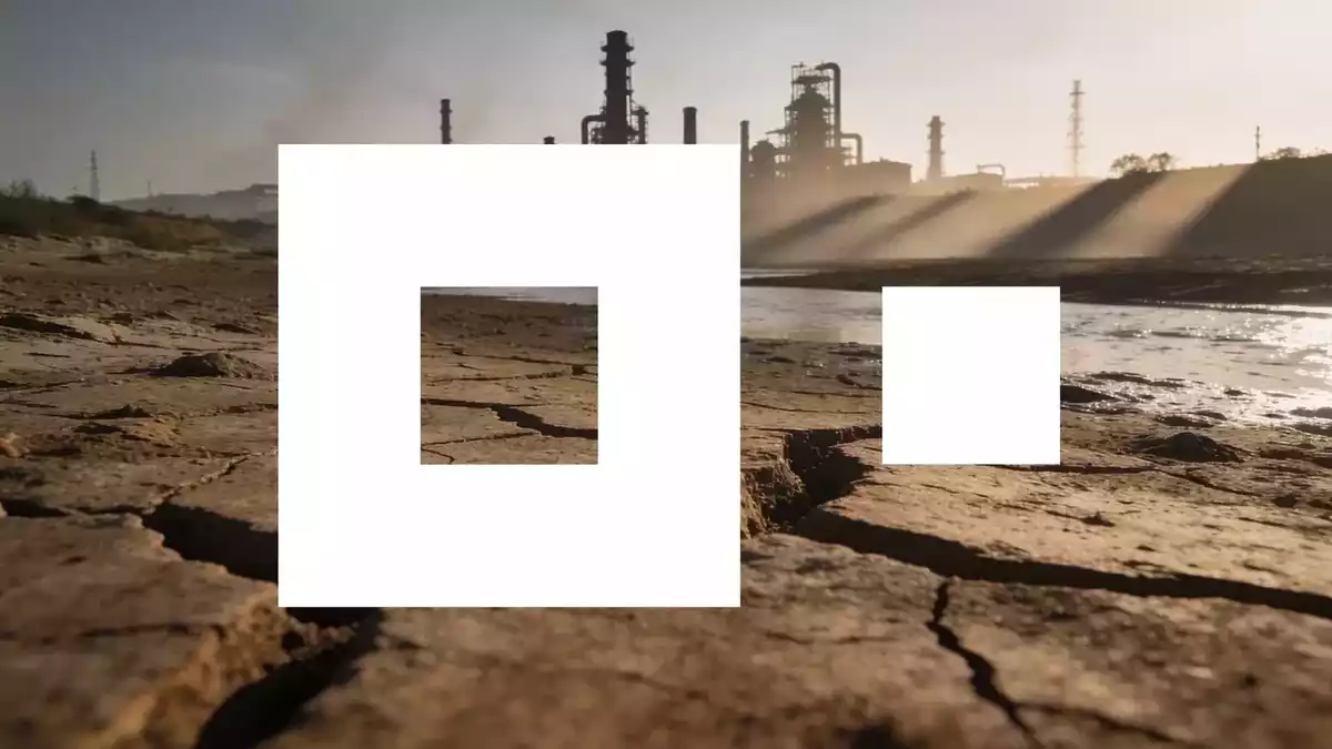 BASF Buyback Continues Despite Rhine Low Water Levels