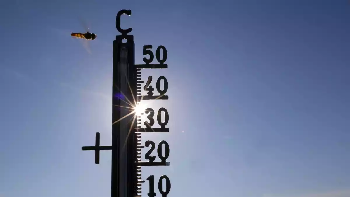 Im Sommer gab es teils Temperaturen über 40 Grad. (Symbolbild) - Bild: Thomas Warnack/dpa