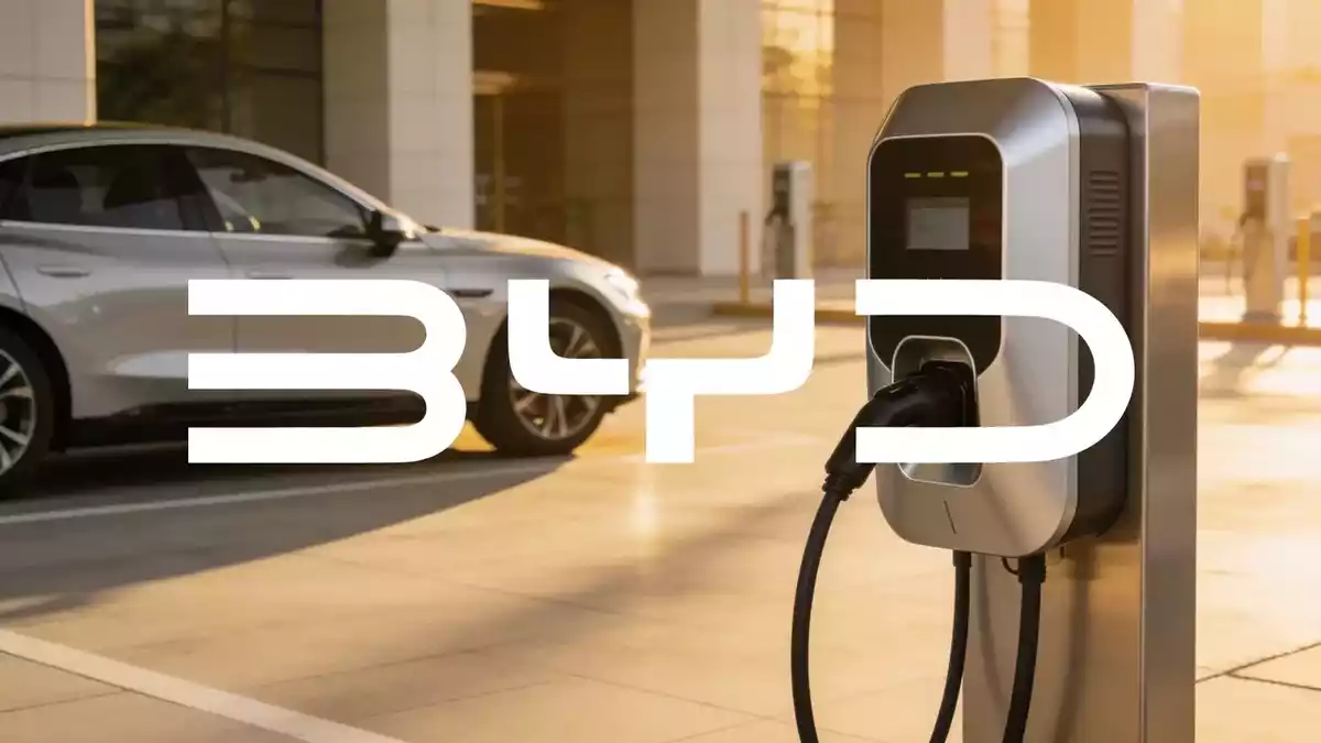 BYD Q2 Profit Up 30% Misses Forecasts as Exports Surge 71%