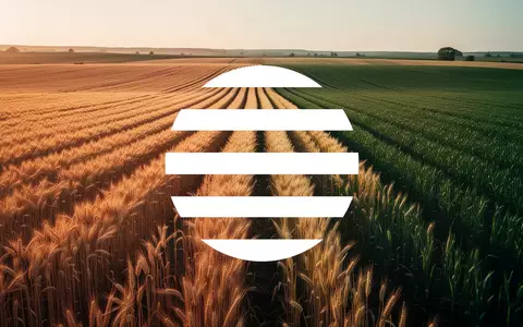 Weites, goldenes Weizenfeld in der Abendsonne als Symbol für den Agrarsektor. - Foto: über boerse-global.de