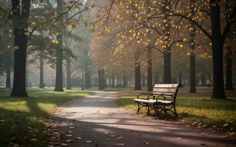 Ein einsamer Parkweg im Übergang vom Sommer zum Herbst mit goldenem Licht und herbstlich gefärbtem Laub. - Foto: über boerse-global.de
