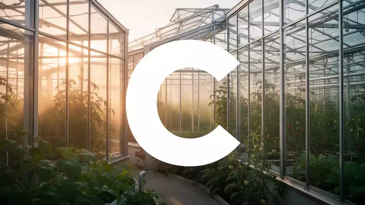 Cresco Labs Stock Rises on Cannabis Sector Optimism and Profitability