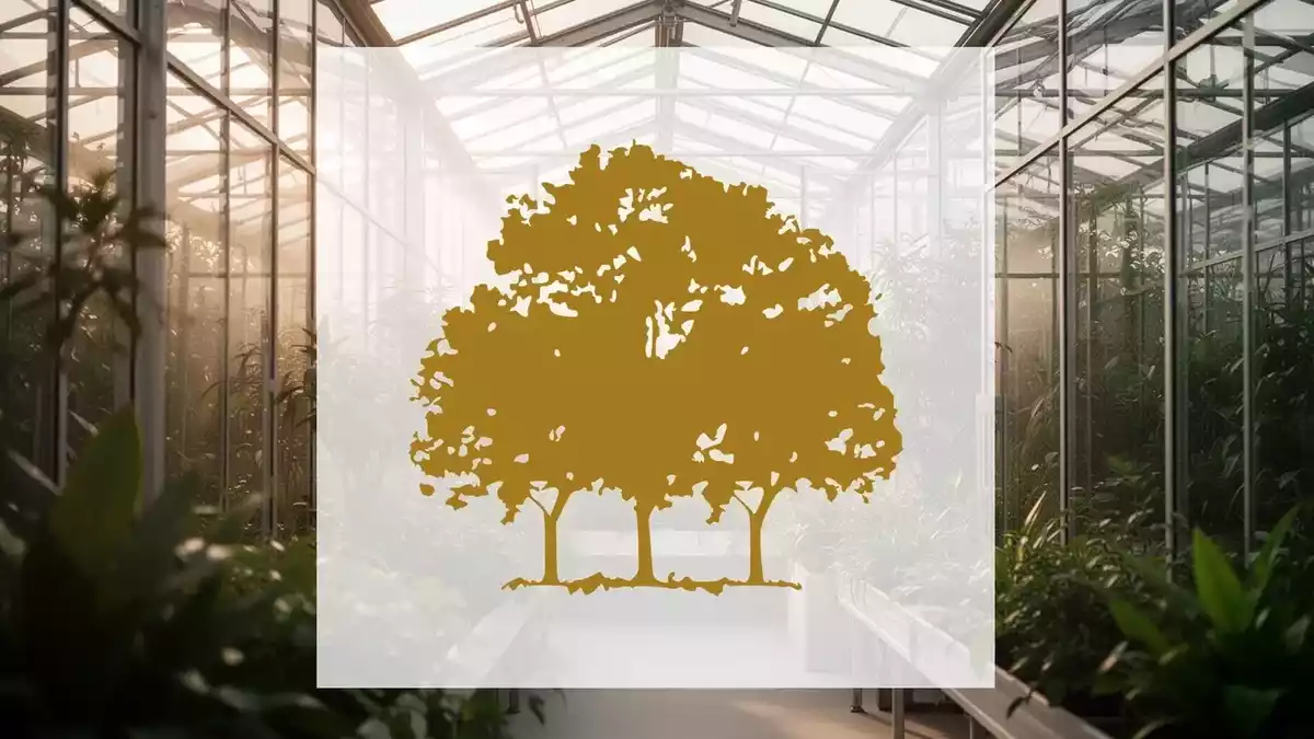 Canopy Growth Cuts Loss 68%, Faces Debt Test as Stock Lags