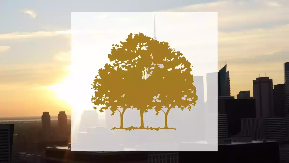 Canopy Growth bereitet Reverse Split trotz besserer Quartalszahlen vor