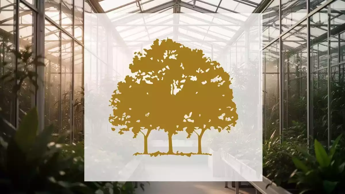 Canopy Growth's EU-GMP Certifications: Quiet Progress Amid Market Skepticism