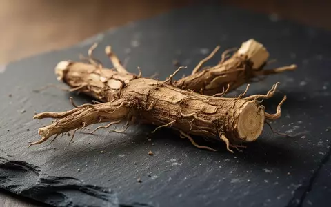 Getrocknete Paridis Rhizoma Wurzel auf einem dunklen Steinhintergrund in einer wissenschaftlichen Laborumgebung. - Foto: über boerse-global.de