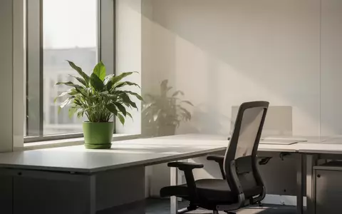 Ein minimalistischer, moderner Büroarbeitsplatz mit einer Grünpflanze und einem leeren ergonomischen Stuhl bei Tageslicht. - Foto: über boerse-global.de