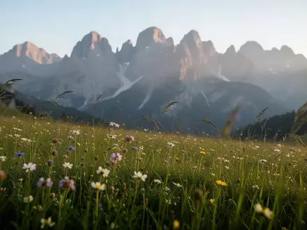 Eine sonnendurchflutete Bergwiese im Südtiroler Gsiesertal vor einer alpinen Bergkulisse. - Foto: über boerse-global.de