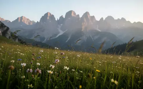 Eine sonnendurchflutete Bergwiese im Südtiroler Gsiesertal vor einer alpinen Bergkulisse. - Foto: über boerse-global.de