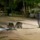 Zwei Menschen starben bei der Tat. - Bild: Bodo Marks/dpa
