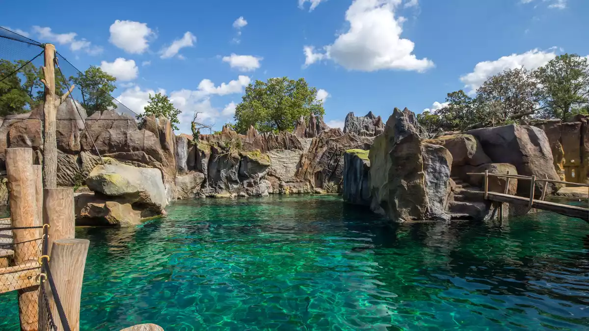 Zoo Leipzig eröffnet Erlebniswelt Feuerland mit spektakulärem Unterwassertunnel und beeindruckender Küstenlandschaft