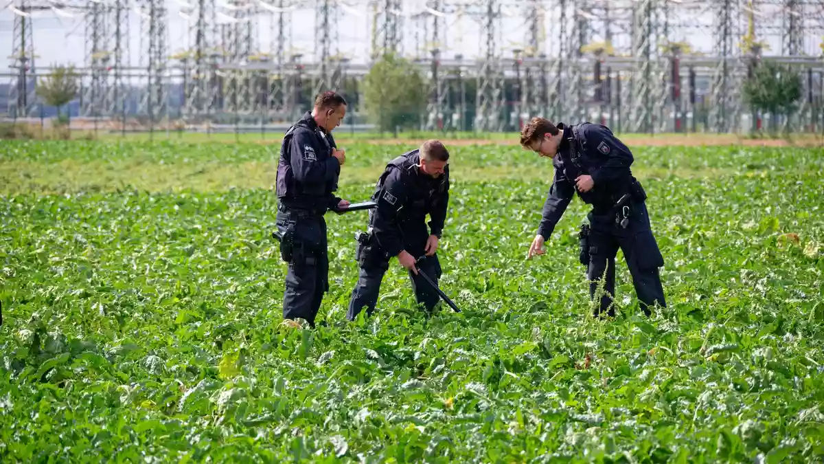 Polizisten suchen die Umgebung ab. - Bild: Henning Kaiser/dpa