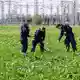 Polizisten suchen die Umgebung ab. - Bild: Henning Kaiser/dpa