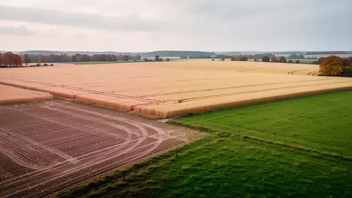 Agrarantrag 2026: September bringt wichtige Fristen für Landwirte