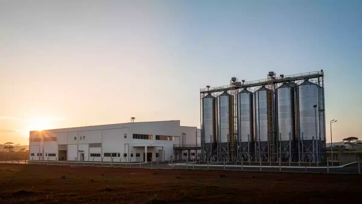 Brasilien konkretisiert Emissionshandel für 17 Wirtschaftssektoren
