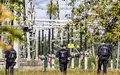Unbekannte positionierten in Brandenburg mehr als ein Dutzend Geschosse unter Stromleitungen. - Foto: Frank Hammerschmidt/dpa
