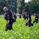 Sowohl in Brandenburg als auch in NRW wurden nach Angaben der Behörden Abschussvorrichtungen und Pyrotechnik gefunden. - Bild: Henning Kaiser/dpa