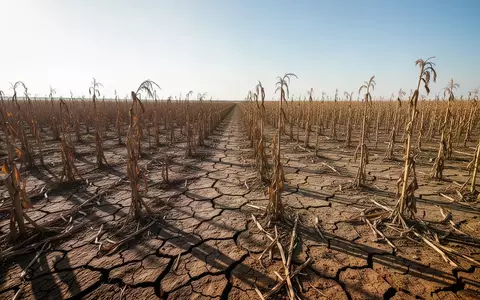 Ein ausgetrocknetes, rissiges Feld mit verdorrten Getreideresten unter einem weiten, hellen Himmel. - Foto: über boerse-global.de