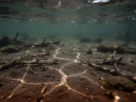 Ein dunkler, leicht trüber Flussgrund unter Wasser, auf den sanftes Sonnenlicht durch die Oberfläche fällt. - Foto: über boerse-global.de