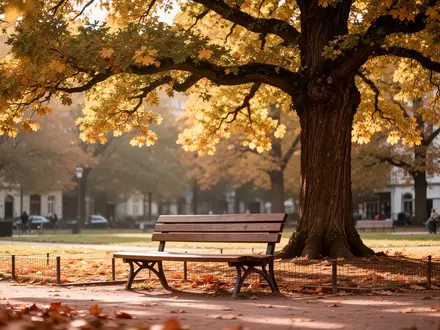 Ein sonniger, herbstlicher Stadtpark mit einer leeren Parkbank unter einem Baum, der die Aufmerksamkeit auf lokale soziale Initiativen lenkt. - Foto: über boerse-global.de